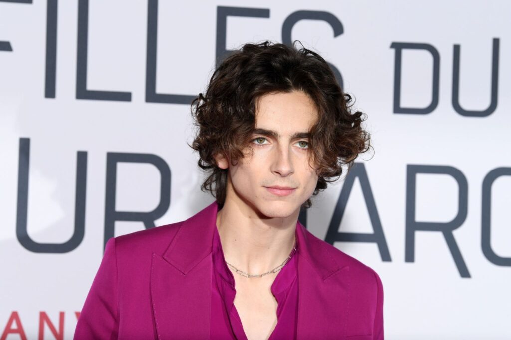 Is Timothée Chalamet Gay